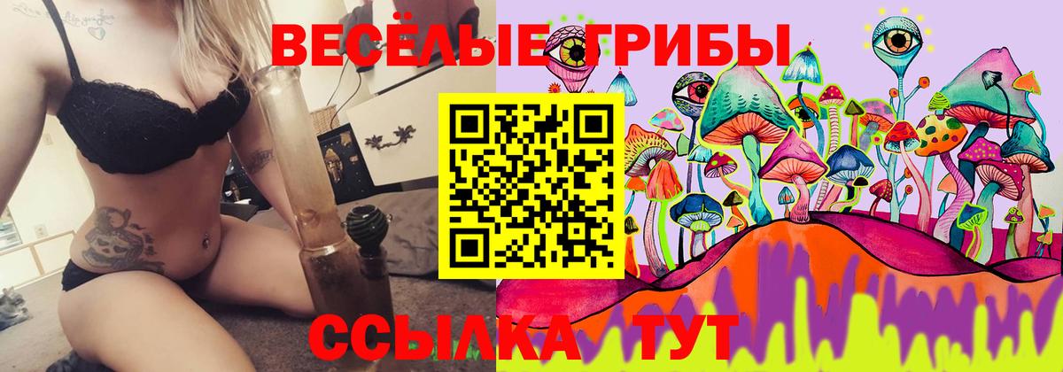 Кодеин Ачхой-Мартан